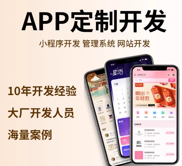 软件定制